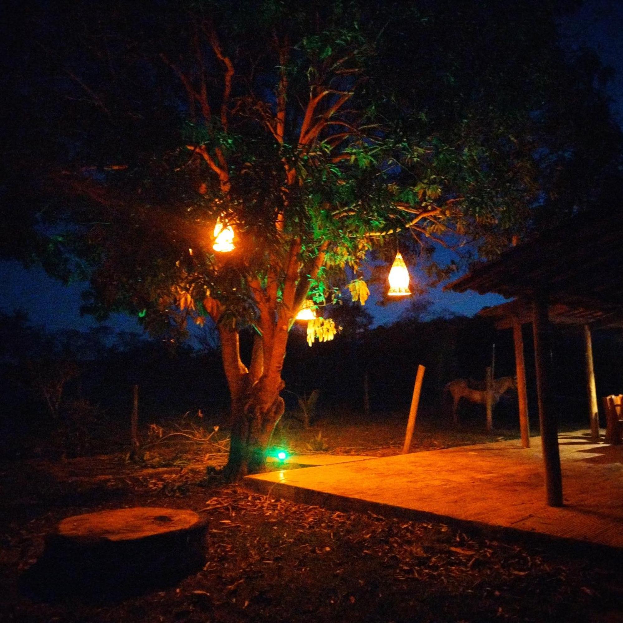 Fazenda Com Piscina E Churrasqueira Br-135 Proximo Curvelo Corinto E Morro Da Garca Eksteriør bilde